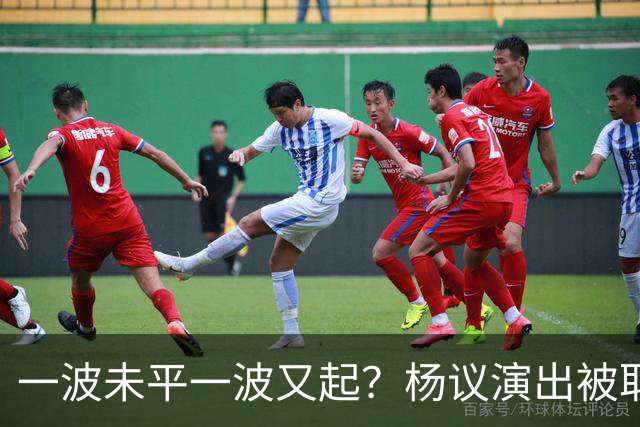 一波未平一波又起？杨议演出被取消，条子哥翻脸，老郭评价没说错