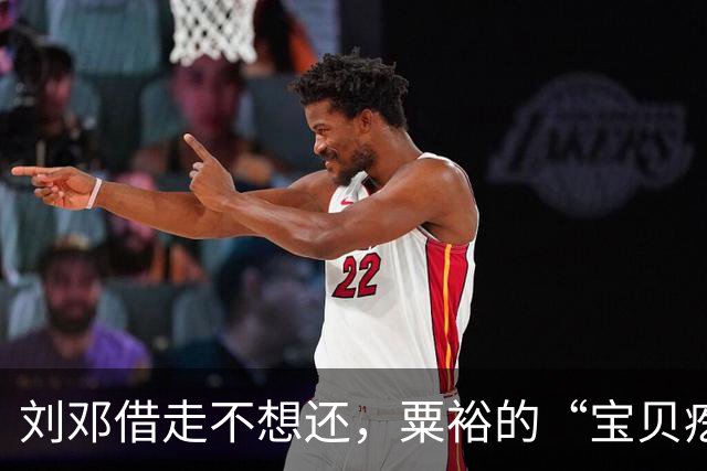 刘邓借走不想还，粟裕的“宝贝疙瘩”，华野这个纵队有多猛？