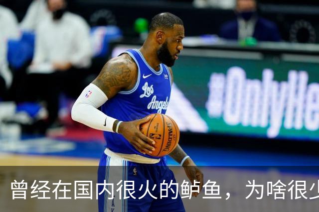 曾经在国内很火的鲈鱼，为啥很少人吃了，鱼贩子：4大原因影响大