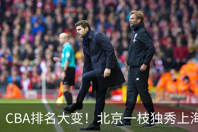 CBA排名大变！北京一枝独秀上海第3，辽宁第4广东第15，新疆连败宁波一胜难求
